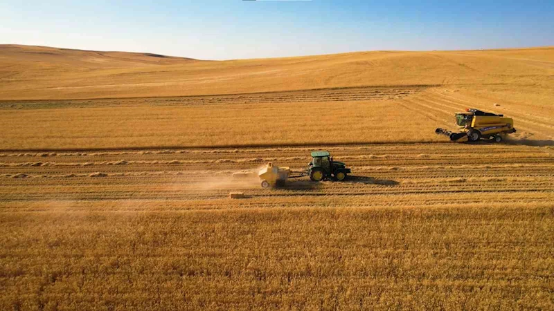 Hasatta hem kuraklık hem yangın riski: Çiftçiye çifte uyarı
