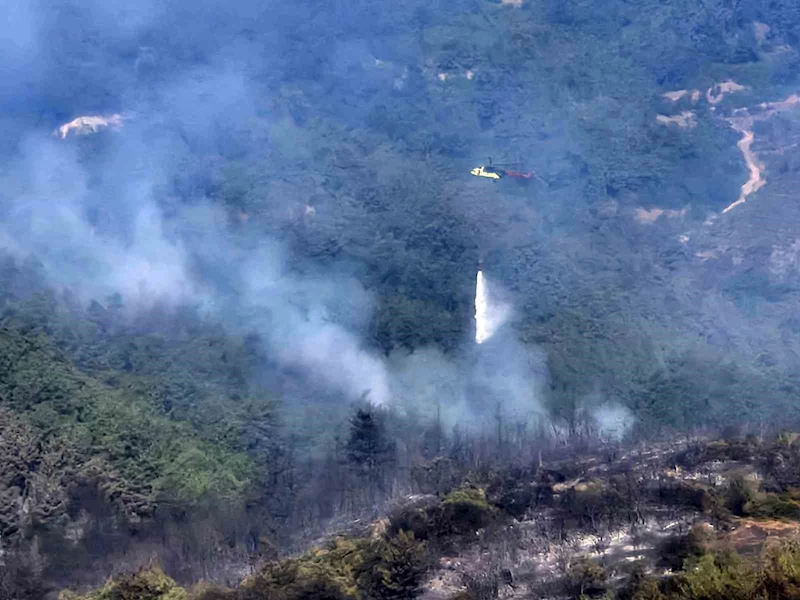 Balıkesir’deki orman yangınına havadan müdahale tekrar başladı

