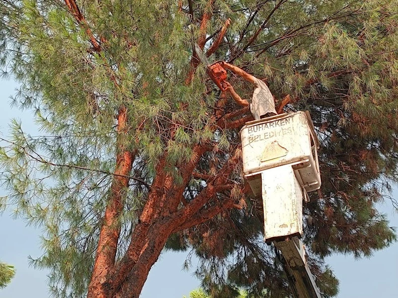 Buharkent Belediyesi’nden anında müdahale
