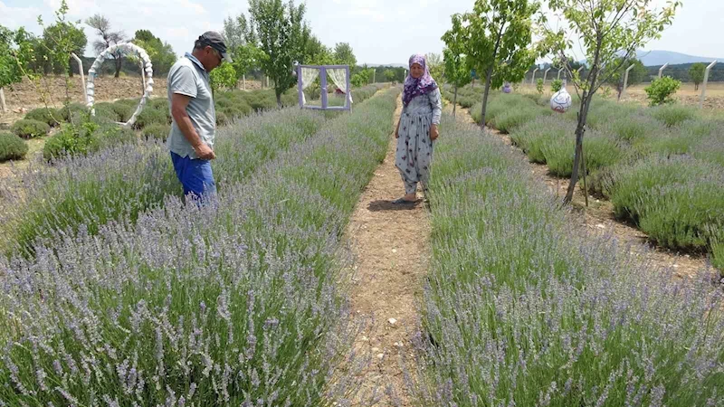 Hobiyle başladılar, geçim kaynağına dönüştü
