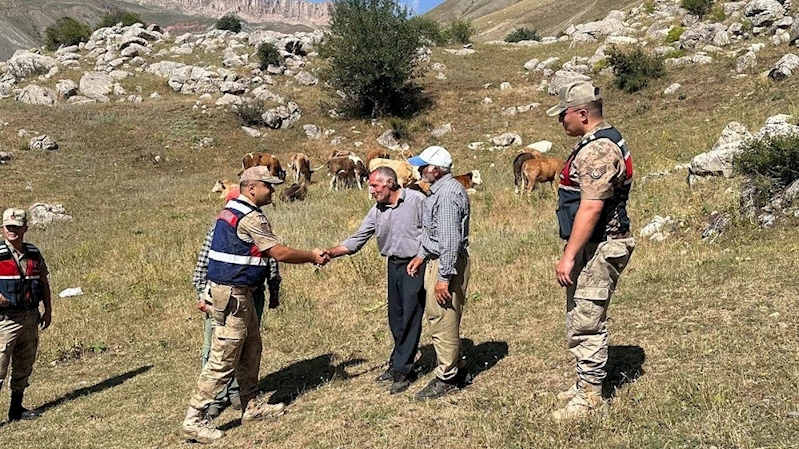 Üzümlü’de 4 gündür kayıp 17 büyükbaş hayvanı jandarma buldu

