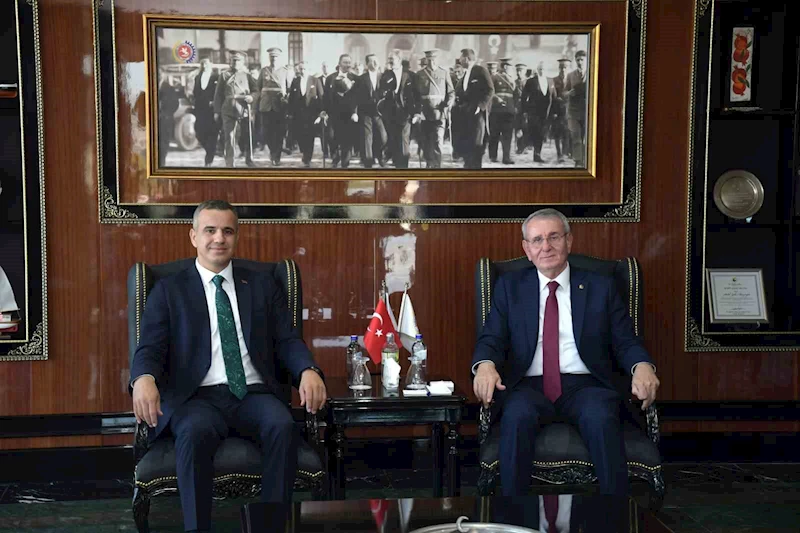 Murzioğlu: 