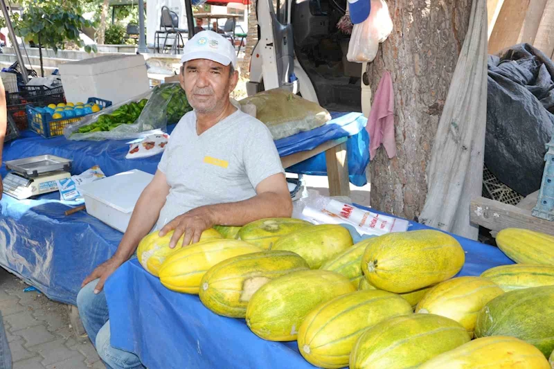 Manisa’da Altınbaş Kavununda hasat başladı
