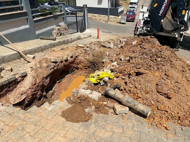 İzmir’de boşa akan su, domuzlara park oldu

