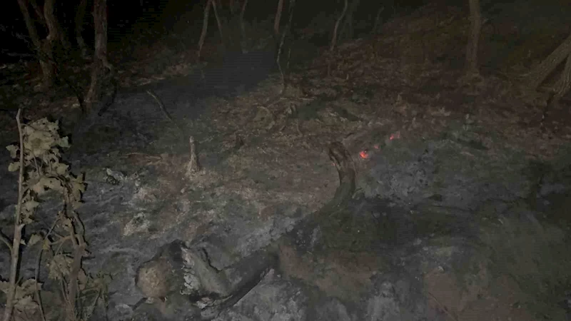 Gebze’de gece yarısı orman yangını: 7 dönüm alan kül oldu

