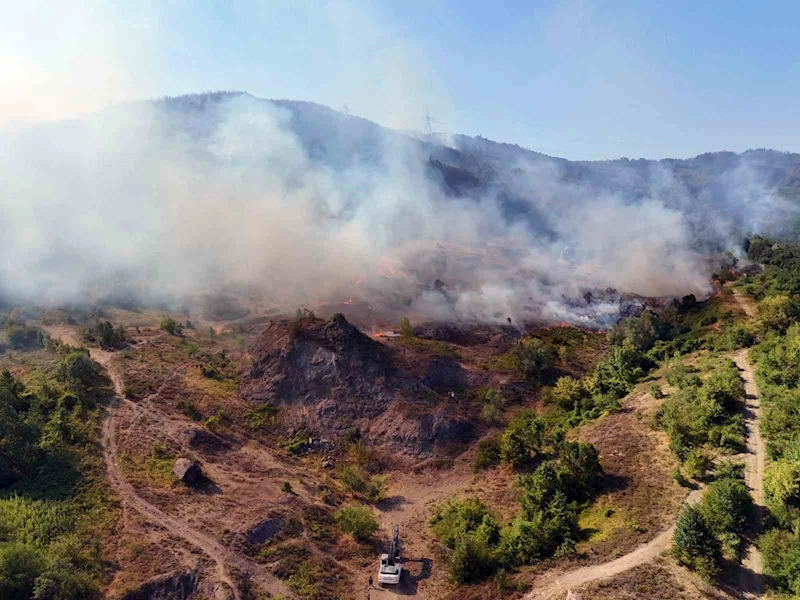 Sakarya-Düzce sınırındaki yangın bölgesi havadan görüntülendi
