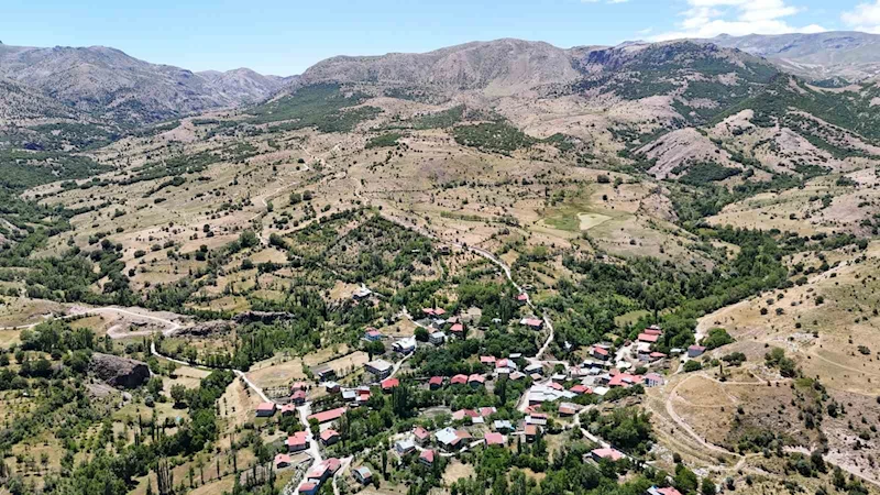 Bozkırın ortasında vahayı andırıyor, yeşilliği ile dikkat çekiyor
