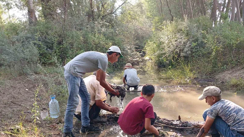 Hayvanları su içebilsin diye elleriyle mini gölet yaptılar
