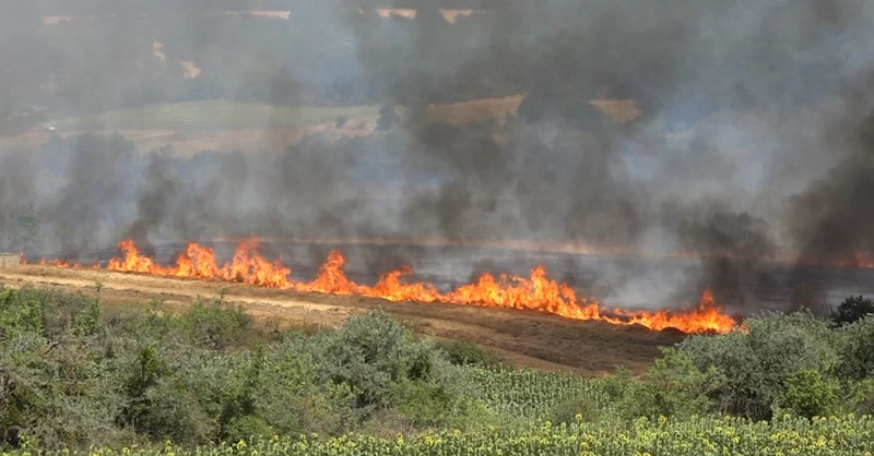 Kırklareli’nde yangın: 500 dekar tarım arazisi ve ağaçlık alan zarar gördü
