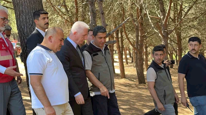 İstanbul Valisi Davut Gül, Sultangazi Kent Ormanı’nda incelemelerde bulundu: 