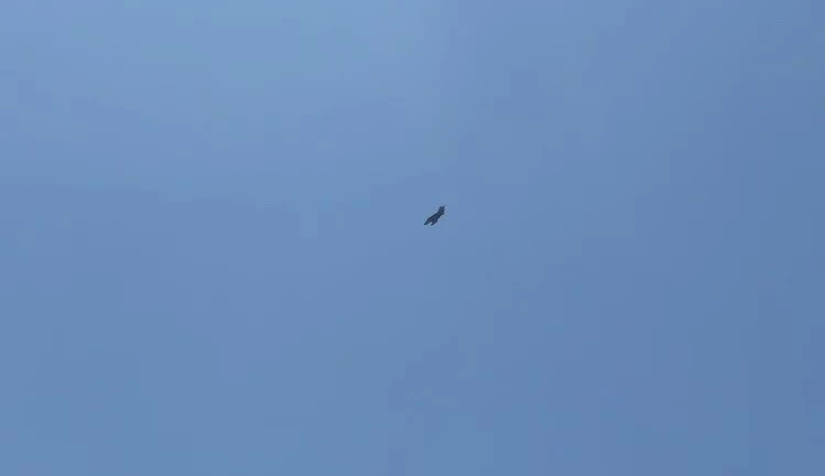 Adıyaman’da F16 savaş uçağı nefes kesti

