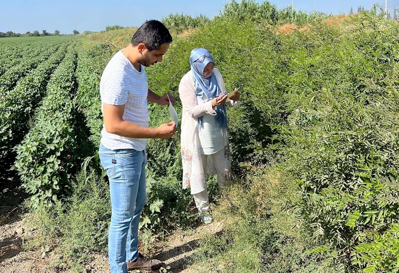 Söke’de ekipler sahaya indi, tuzaklar kontrol edildi
