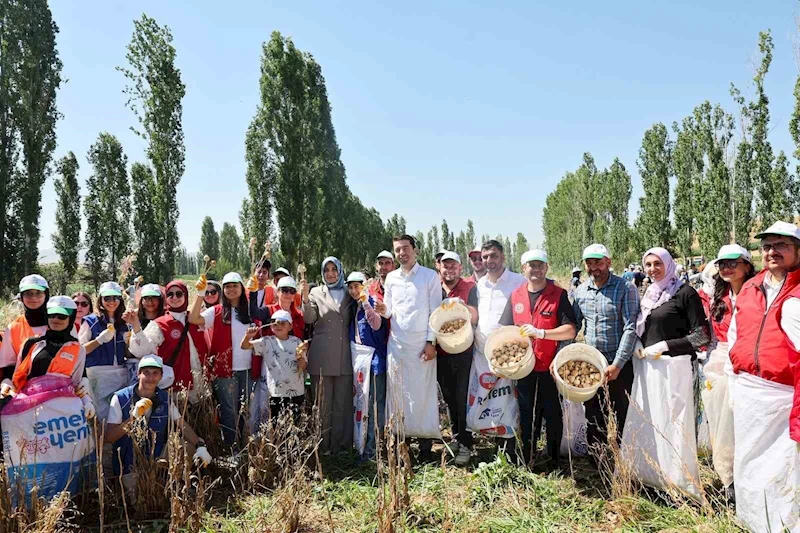 Gençler hasat etkinliği ile üretim süreçlerini yakından deneyimliyor
