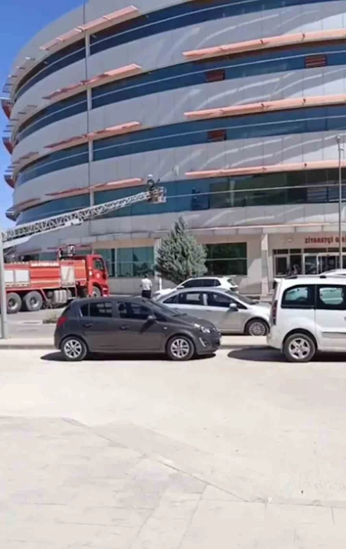 Mardin’de hastanenin dış cephesinde mahsur kalan kedi kurtarıldı
