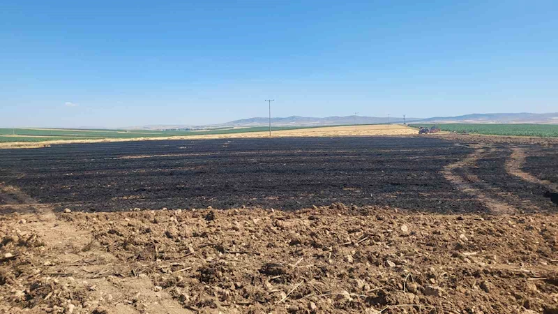 40 dönümlük buğday tarlasında korkutan yangın

