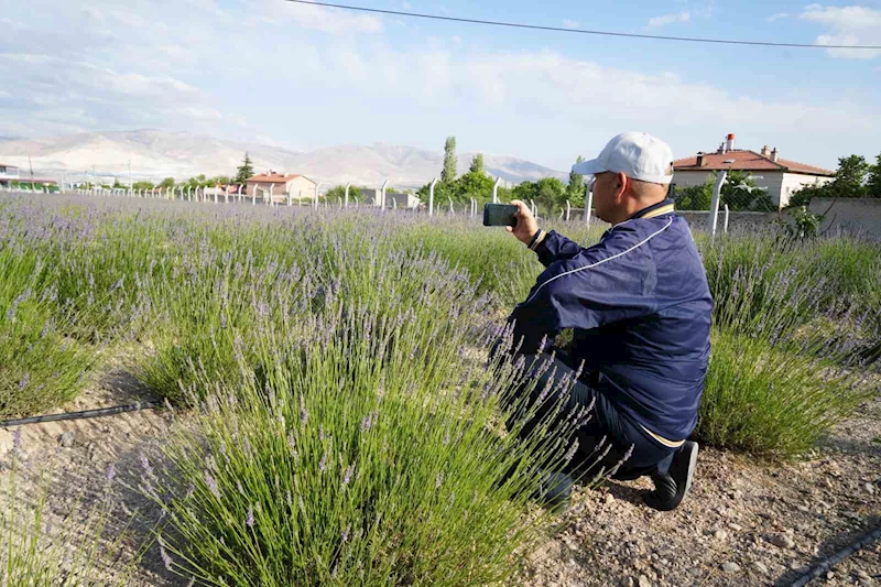 Köyde ’lavanta bahçesi’ turizmi
