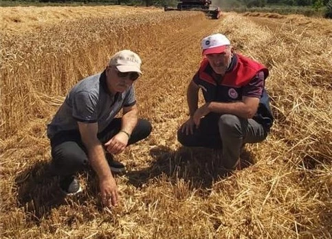 Düzce’de verimli hasat için yerinde denetim
