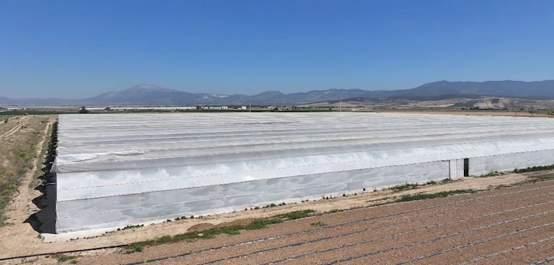 Serada çalışan 26 işçi zehirlenme şüphesiyle hastanelere kaldırıldı
