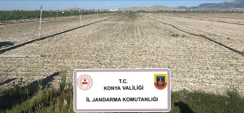 Konya’da jandarmadan uyuşturucu operasyonları

