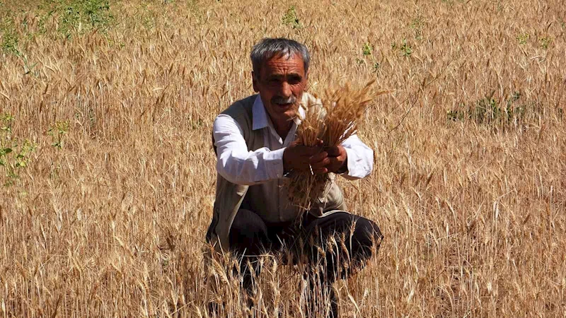 Vanlı çiftçiler sulama göleti istiyor
