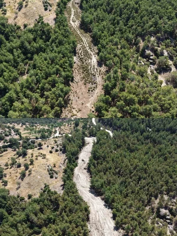 Çine’de orman yangınlarına karşı önleyici temizlik çalışması yapıldı
