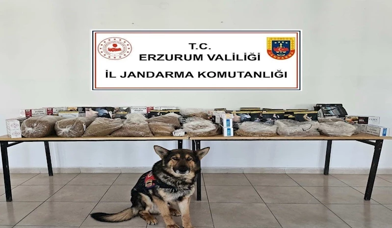 Jandarmadan kaçakçılara operasyon
