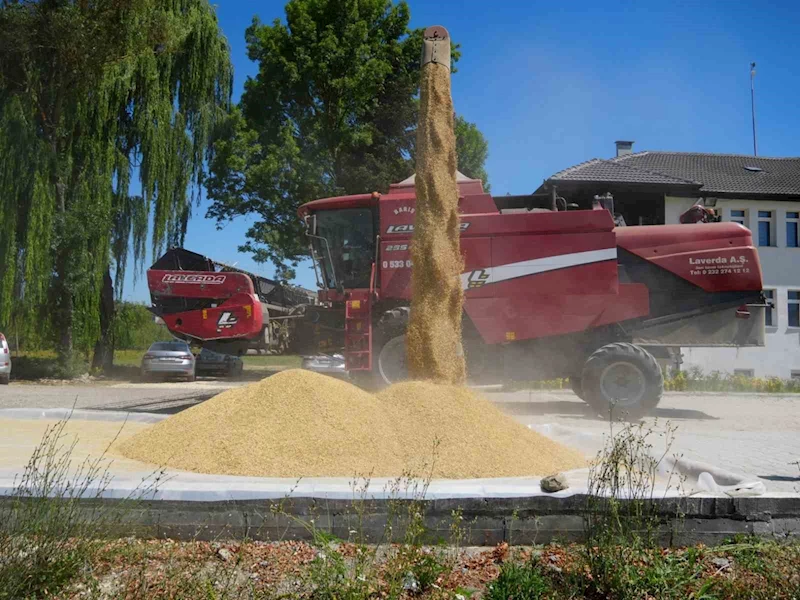 Tarım Akademisi’nde hasat bereketi
