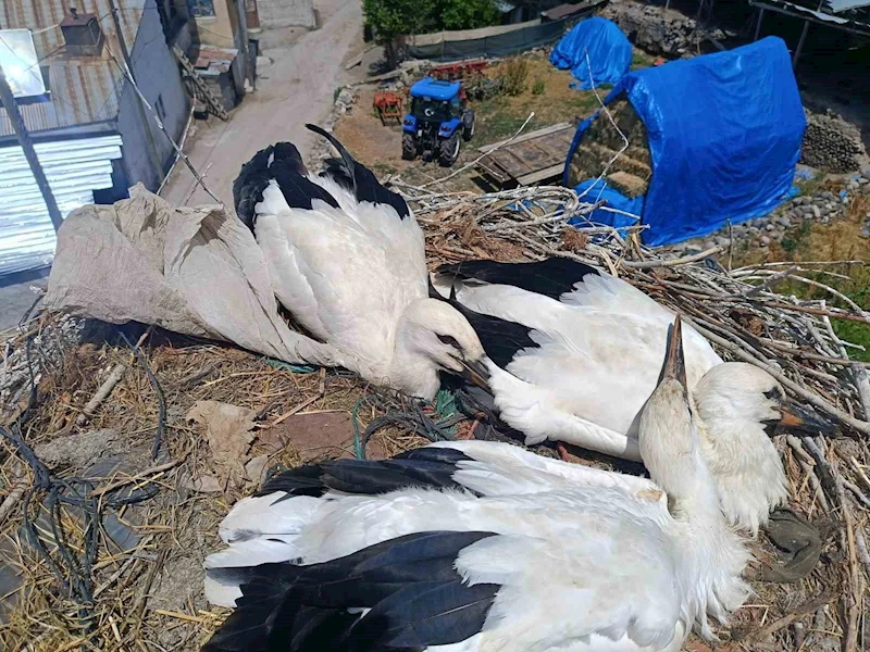 İtfaiyeden leyleğe uzanan şefkat eli
