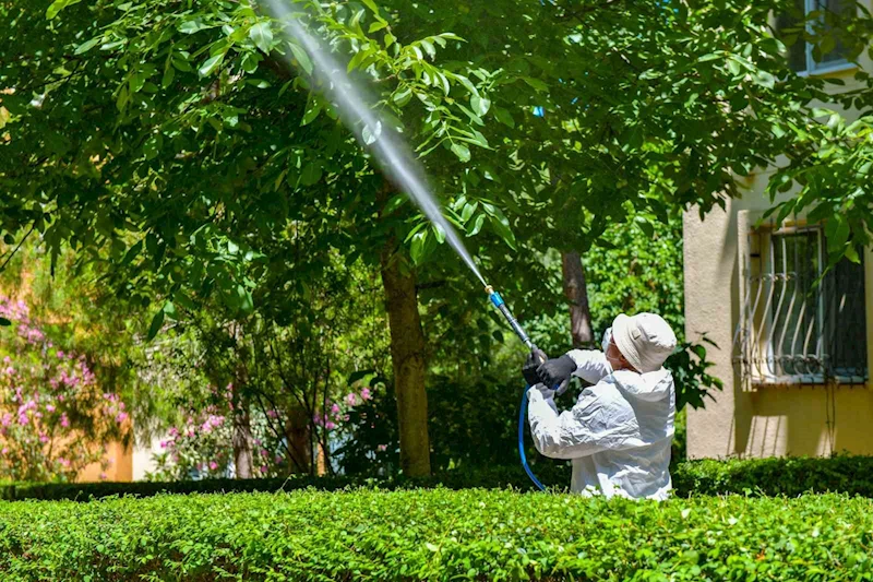 Esenyurt Belediyesi’nden ağaçlara teke böceği kalkanı
