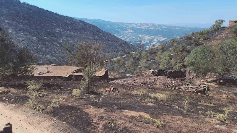 Yangından geriye küle dönen evler ve tarlalar kaldı
