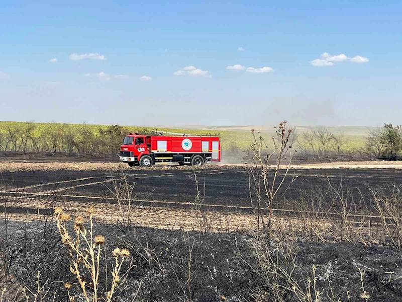 Tekirdağ’da çıkan tarla yangını söndürüldü

