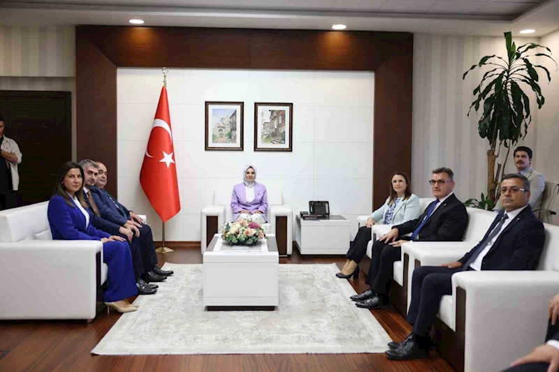 Bakan Göktaş, 