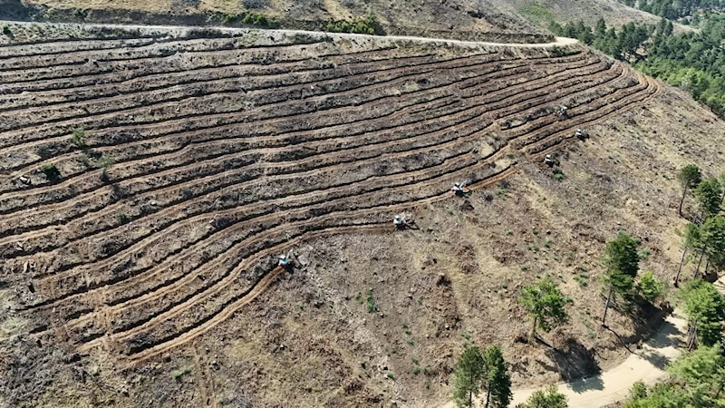 Babadağ’da geçen yıl yanan bölgelere ağaçlandırma çalışmaları sürdürülüyor

