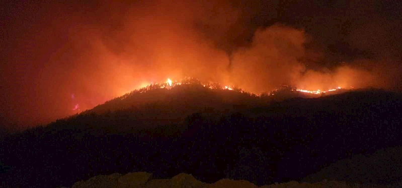 Hassa’da çıkan yangında iki mahallede toplam 540 kişi tahliye edildi
