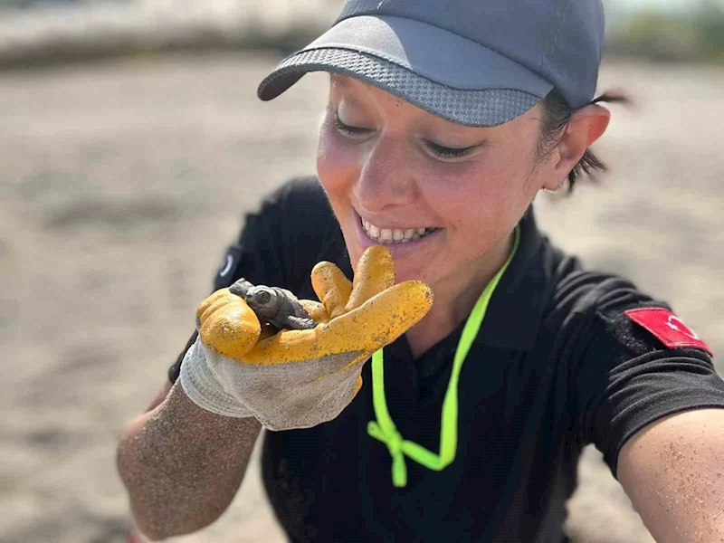Antalya’da yavru caretta carettaların denizle buluşması için nöbet tutuluyor

