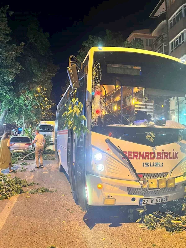 Edirne’de ağaç devrildi, 2 araç hasar gördü
