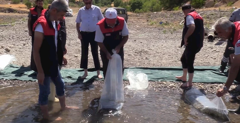 Elazığ’daki su kaynaklarına 5 milyon 786 bin yavru sazan bırakılacak

