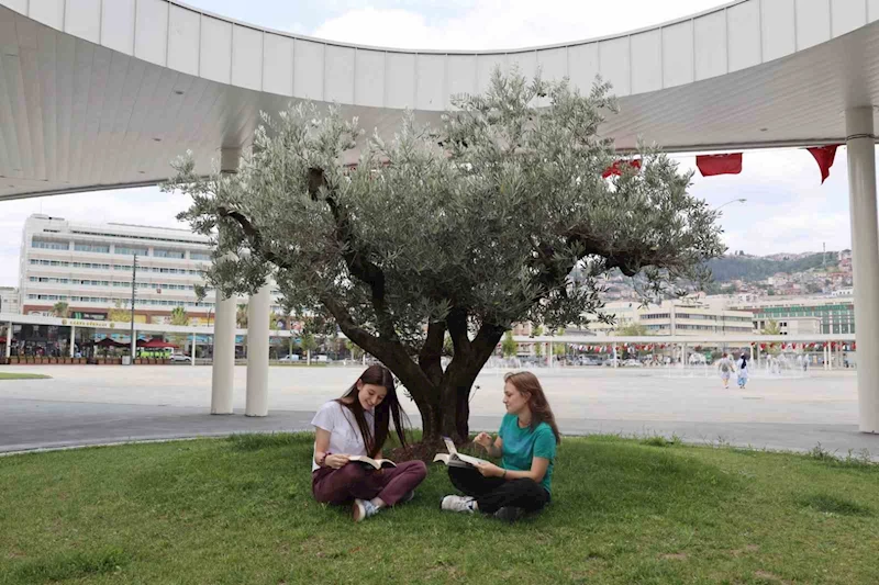 Milli İrade Meydanı’na 300’den fazla ağaç dikildi

