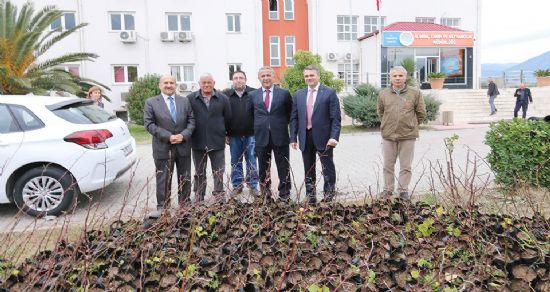 Ihlamur yetiştiriciliği teşvik ediliyor