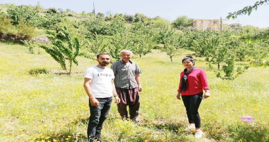 Akdeniz meyve sineği uyarısında bulunuldu