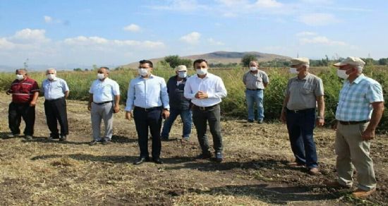 Toprakkale?de yerfıstığı hasadı gerçekleştirildi